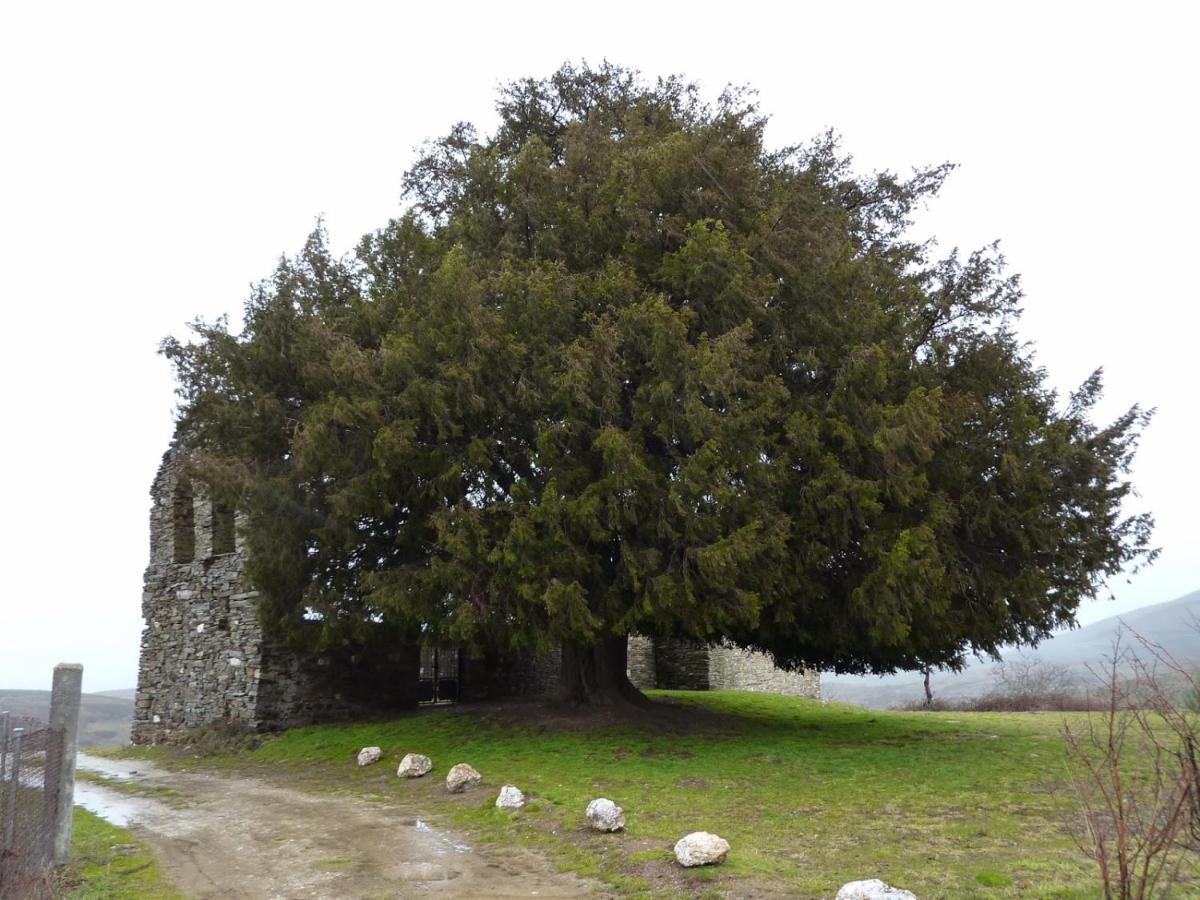 Casa De Abril 1 Konuk evi San Cristobal de Valdueza Oda fotoğraf